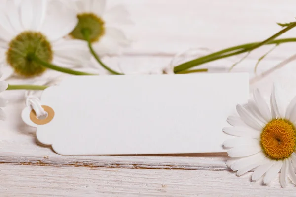 Fiori di margherita bianchi estivi su uno sfondo di legno bianco con una carta per l'iscrizione . — Foto Stock