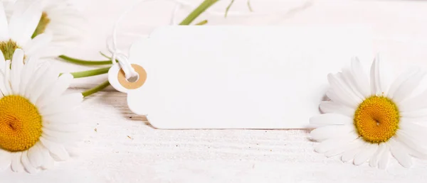 Flores de margarita blanca de verano sobre un fondo de madera blanca con una tarjeta para la inscripción . —  Fotos de Stock