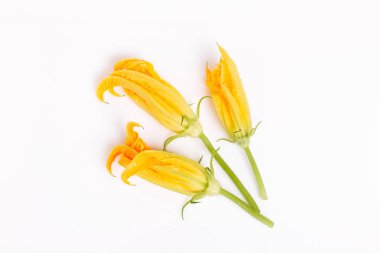 Beyaz arka planda dilimlenmiş taze yeşil kabak.