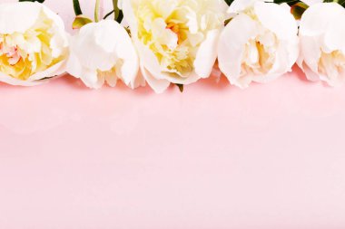 Pembe tahta üzerinde yaprakları çiçekler ile Narin beyaz pembe şakayık. Havai üst görünüm, düz yatıyordu. Kopyalama alanı.