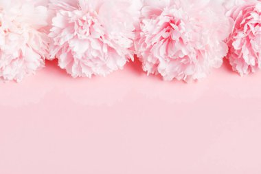 Pembe tahta üzerinde yaprakları çiçekler ile Narin beyaz pembe şakayık. Havai üst görünüm, düz yatıyordu. Kopyalama alanı.