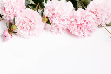 Beyaz yaprakları çiçekler ile Narin beyaz pembe şakayık. Havai üst görünüm, düz yatıyordu. Kopyalama alanı.