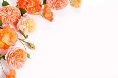 Beyaz arka planda şenlikli çiçek kompozisyonu. Genel Görünüm