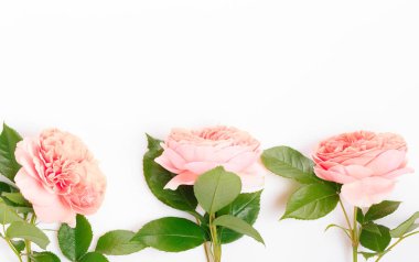 Beyaz arka planda şenlikli çiçek kompozisyonu. Genel Görünüm