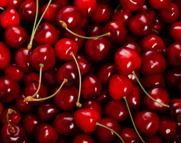 Cerezas rojas frescas maduras con esquejes y hojas, fondo abundante Gran colección de cerezas rojas frescas Fotos de stock