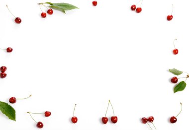 Tropikal yaz soyut arka plan. Beyaz arka planda kesimler ve yapraklar ile Kiraz.