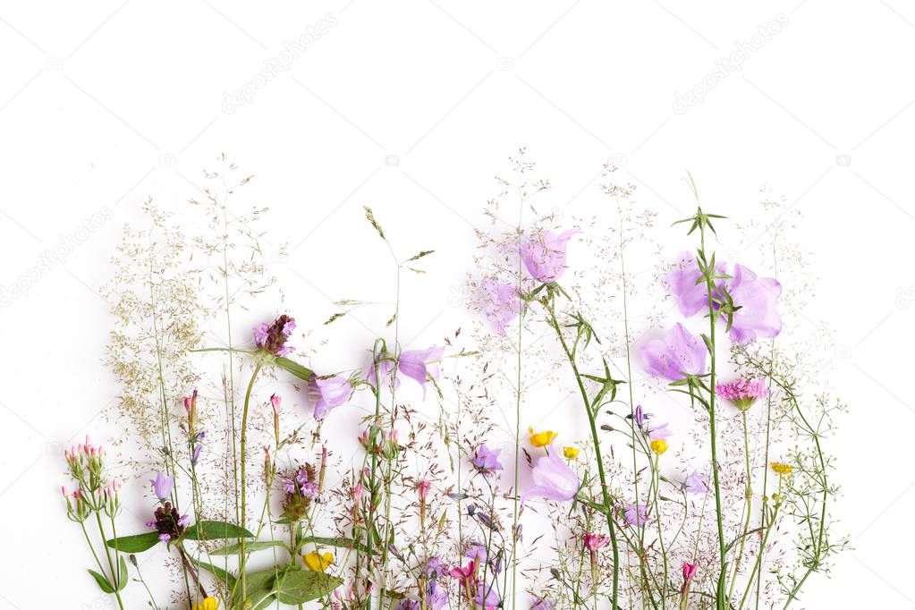 Floral pattern with wildflowers, green leaves, branches on white background. Flat lay, top view.