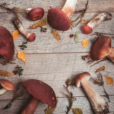 Resim çerçevesi ile sonbahar yaprak kompozisyon. Kopya alanı.