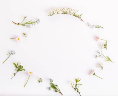 Şenlikli çiçekler çerçevesi, beyaz arka planda kompozisyon. Tepegöz üst görünümü, düz yatıyordu, kare. Boşluk Kopyala.