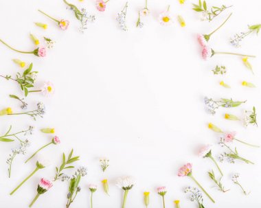 Şenlikli çiçekler çerçevesi, beyaz arka planda kompozisyon. Tepegöz üst görünümü, düz yatıyordu, kare. Boşluk Kopyala.