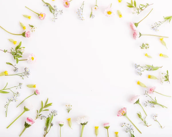 Moldura de flores festivas, composição no fundo branco. Vista superior aérea, flat lay, quadrado. Espaço de cópia . — Fotografia de Stock