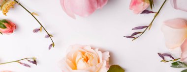 Beyaz ahşap arka planda şenlikli çiçek kompozisyonu. Genel Görünüm