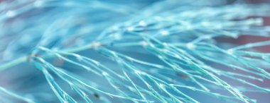 Soyut tropikal yapraklar arka plan, soyut doğal desen, renkli doğa arka plan, mavi tonlu afiş