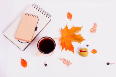 Sonbahar kompozisyon sonbahar kuru çok renkli yaprakları, kestane, kahve veya çay bardağı, beyaz arka plan üzerinde not defteri yapılmış.