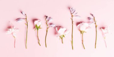 Festival çiçek kompozisyon pembe bir arka plan üzerinde. Üstten Görünüm