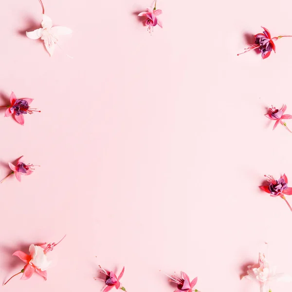 Flor festiva composición fucsia sobre el fondo rosa. Vista aérea — Foto de Stock