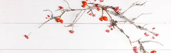 Natale, Capodanno o Autunno sfondo, piatto laici composizione di ornamenti naturali di Natale e rami di abete, bacche, rosa canina e rami invernali ricoperti di muschio — Foto Stock