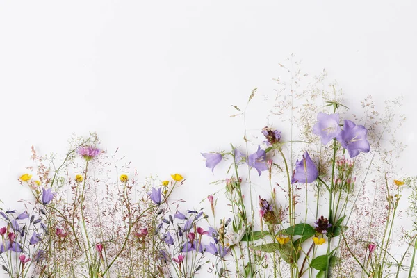Çiçek desenli kır çiçekleri, yeşil yapraklar, beyaz arka planda dallar. Düz yatış, üst görünüm.