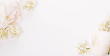 Romantik pankart, narin beyaz şakayık çiçekleri. Güzel kokulu pembe yapraklar.