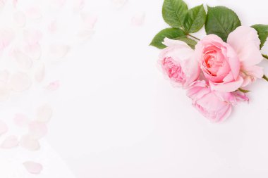 Beyaz ahşap arka planda şenlikli çiçek kompozisyonu. Genel Görünüm