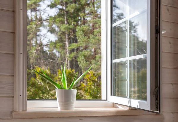 Fenêtre blanche dans une maison rustique en bois donnant sur le jardin, forêt de pins. Aloe Vera en pot blanc sur le rebord de la fenêtre — Photo