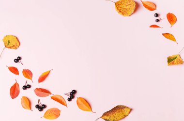 Sonbahar yaprakları ve pembe arka planda böğürtlenden oluşan sonbahar arkaplanı.