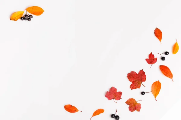 Jesienne tło wykonane z jesiennych liści i jagód na białym tle. — Zdjęcie stockowe