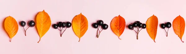 Autumn background made of autumn leaves and berry on pink background. — Stock Photo, Image