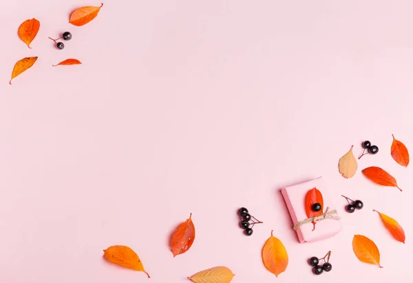 Fondo de otoño hecho de hojas de otoño y baya sobre fondo rosa. — Foto de Stock