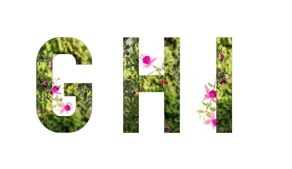 Alphabet floral, fuchsia, lettres G H I floral, concept de printemps, été — Photo