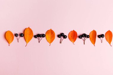 Sonbahar yaprakları ve pembe arka planda böğürtlenden oluşan sonbahar arkaplanı.