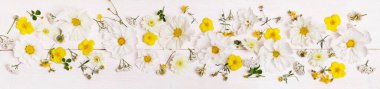 Beyaz Cosmea Cosmos çiçekleri düğün için romantik arka plan. Düz yatış, üst görünüm.