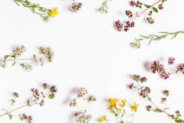 Beyaz arka planda çeşitli otlar ve çiçekler, üst manzara, çiçekli kenar