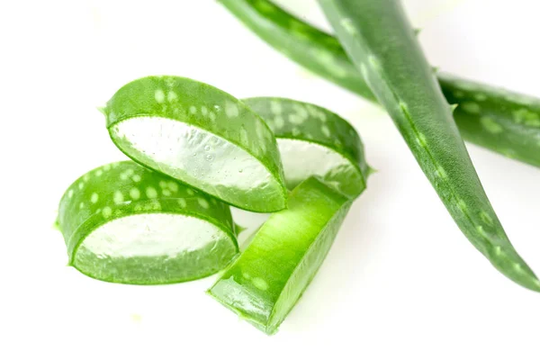 Fresh aloe vera leaf sliced isolated on white background — Stock Photo, Image