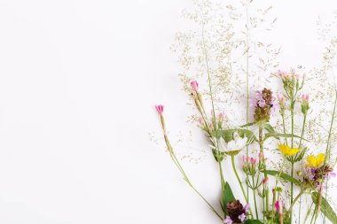 Çiçek desenli kır çiçekleri, yeşil yapraklar, beyaz arka planda dallar. Düz yatış, üst görünüm.