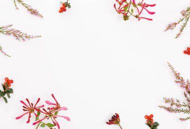 Çiçekli çerçeve bembeyaz arka planda kırmızı böğürtlen, bedava fotokopi alanı, yaz mevsimi tasarımları, tebrik kartı şablonu, eko markalaşma düzeni, doğal kompozisyon