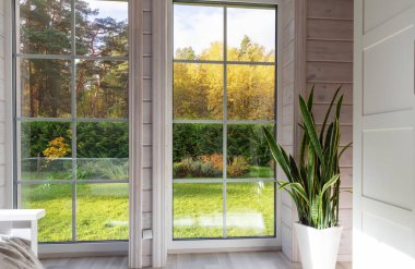 Geniş panoramik pencereli modern iç mekan, sonbahar orman manzaralı, beyaz tencerede yeşil sansevieria bitkisi olan rahat ev, minimalist tasarım, doğal ışık, mevsimsel yaşam tarzı arka plan, kopyalama alanı. 