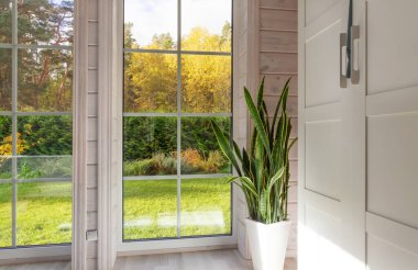 Parlak yaşam alanı, panoramik pencereleri, dışarıda sonbahar ağaçları, beyaz tencerede yılan bitkisi olan şık bir ev, modern tasarım, doğal gün ışığı, rahat mevsimlik atmosfer, yaşam tarzı konsepti. 