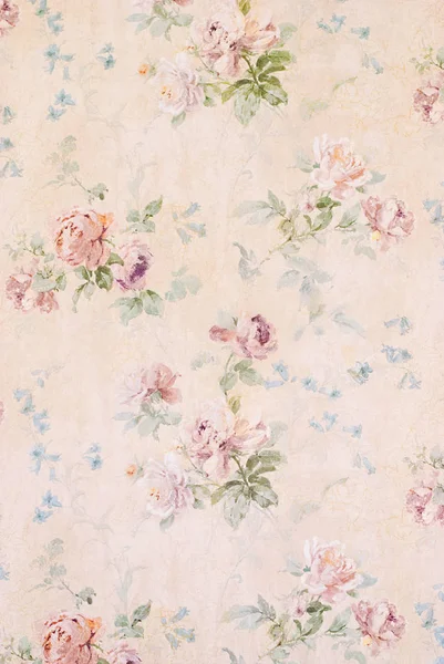 Fond Vintage Avec Des Roses Illustration Florale Texture Papier Ancien — Photo