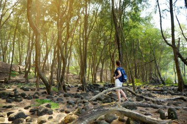 Orman Pololu Vadisi'nde büyük Hawaii adasında, ABD üzerinde yürüyen genç kadın