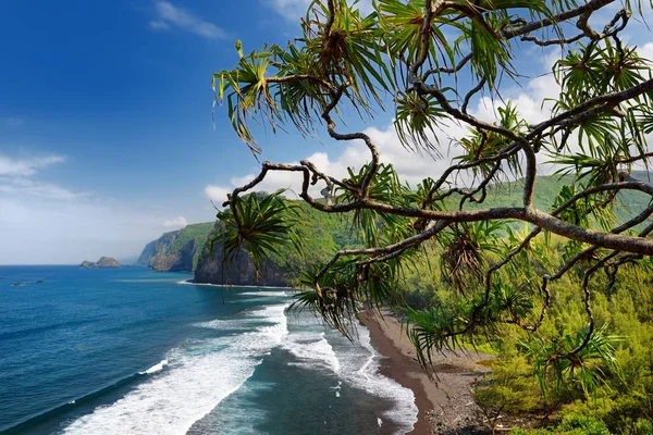 美国夏威夷大岛 Pololu 山谷岩石海滩景观景观 — 图库照片