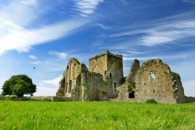 Hore Abbey, yıkık Cistercian Manastırı yakınındaki Cashel Rock, County Tipperary, Ireland