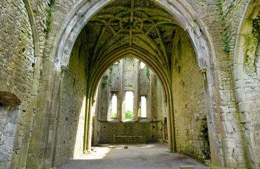 Hore Abbey, yıkık Cistercian Manastırı yakınındaki Cashel Rock, County Tipperary, Ireland