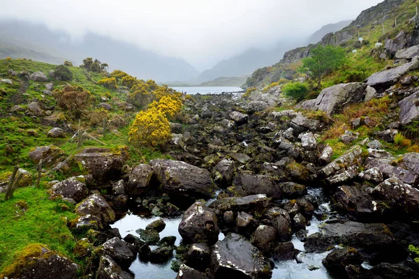 Nehir Loe Dar Dağ Vadinin Gap Dunloe Macgillycuddys Kokuyor Dağlarda — Stok fotoğraf