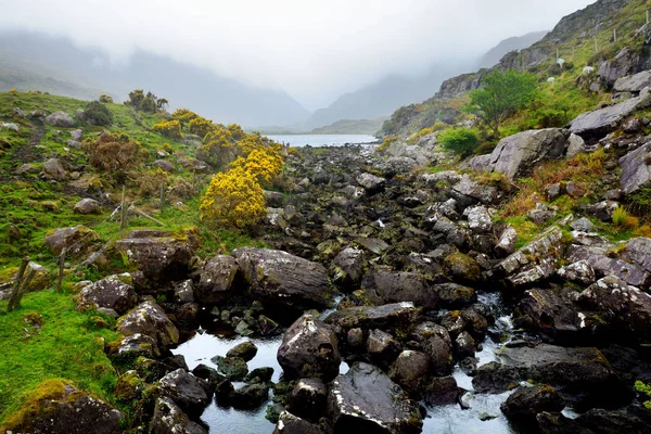 River Loe Narrow Mountain Pass Road Valley Gap Dunloe Macgillycuddys — Fotografia de Stock