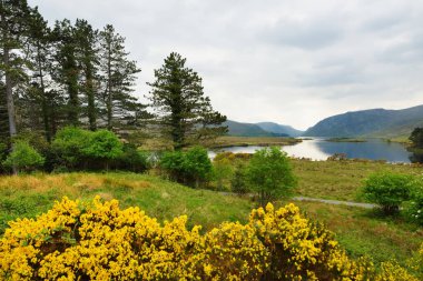 Güzel manzara, Glenveagh Milli Parkı, ikinci en büyük Milli Parkı İrlanda, County Donegal, Ireland