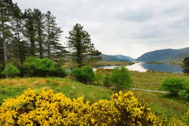 Beautiful landscape of Glenveagh National Park, second largest national park in Ireland, County Donegal, Ireland clipart