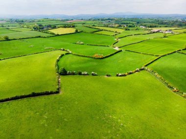 Aerial view of endless lush pastures and farmlands of Ireland clipart