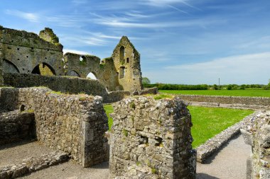 Hore Abbey, yıkık Cistercian Manastırı yakınındaki Cashel Rock, County Tipperary, Ireland