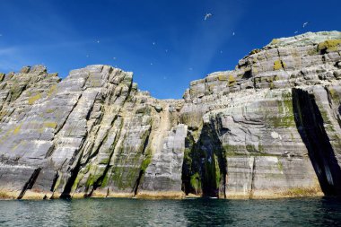 Skellig uçan kuşlar gökyüzünde, County Kerry, Ireland ile ada
